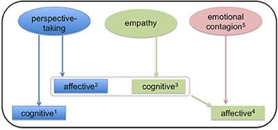 Frontiers Cognitive and Affective Perspective Taking Evidence